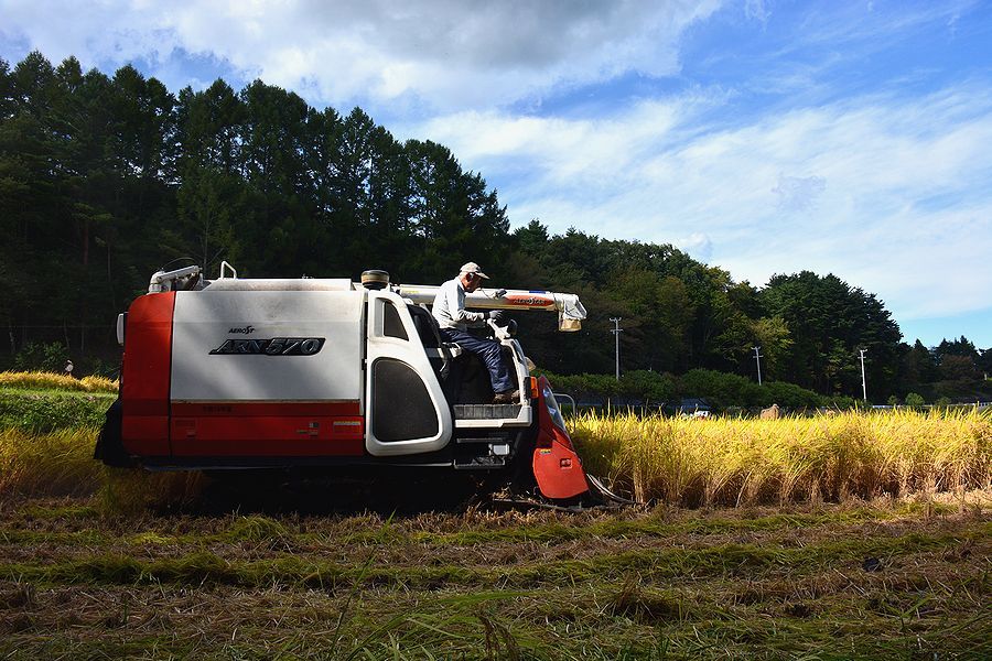 「下古田区の田んぼの稲刈り。中型コンバイン」