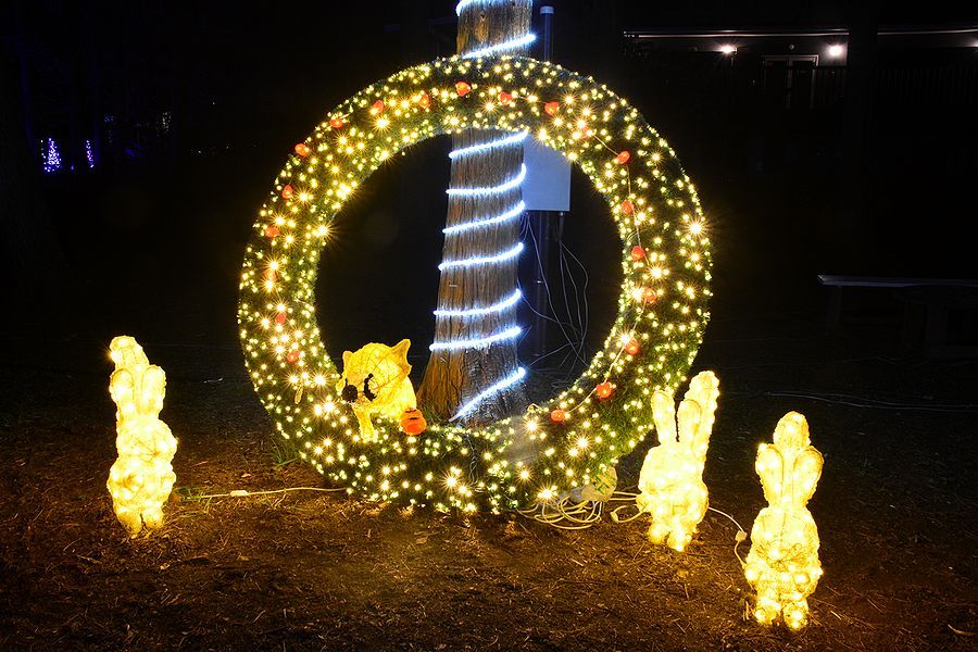 「大芝高原イルミネーション」