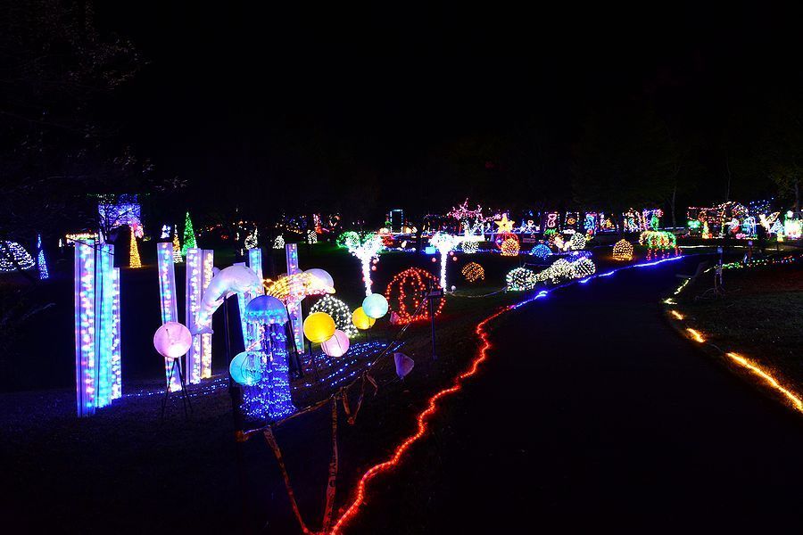 「大芝高原イルミネーション」