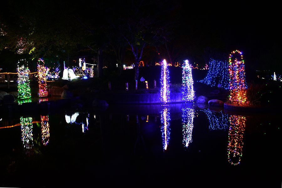 「大芝高原イルミネーション。池に写って」