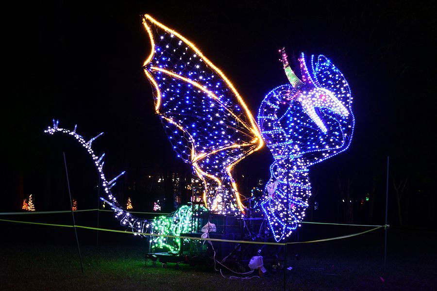 「大芝高原イルミネーション。恐竜」