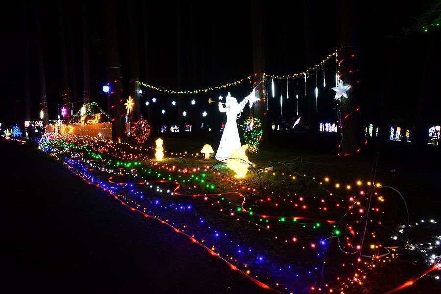 「大芝高原イルミネーション」